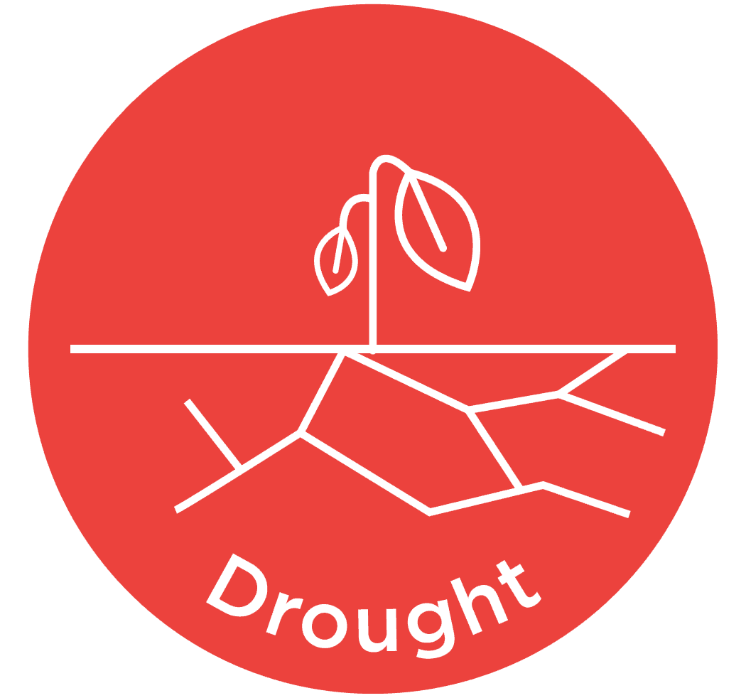 Drought