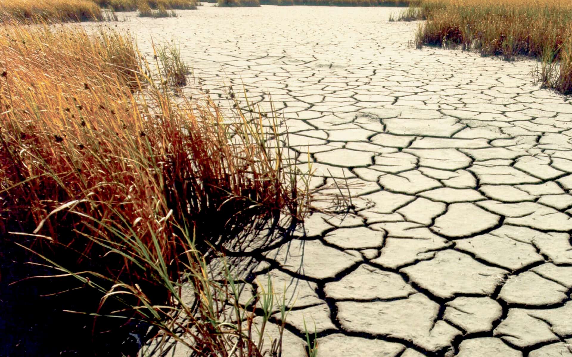 Rapid Climate Change Risk Assessment Module