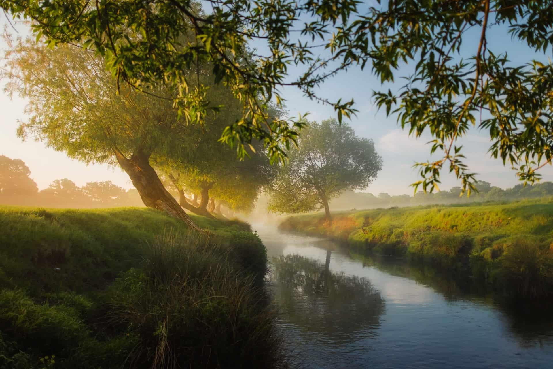 rewilding-london-final-report-of-the-london-rewilding-taskforce